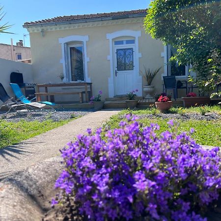 Charmante Maison Climatisee Avec Piscine Au Calme A Carcassone Kültér fotó